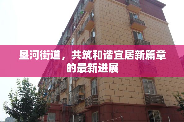 墾河街道，共筑和諧宜居新篇章的最新進展