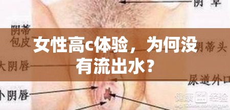 女性高c體驗(yàn)，為何沒有流出水？