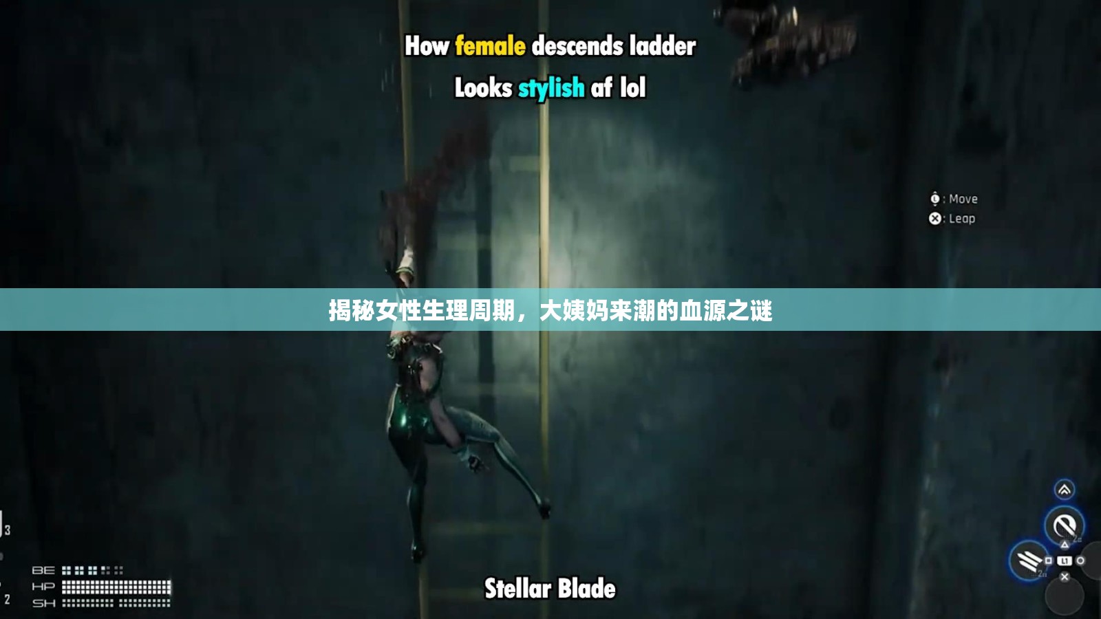 揭秘女性生理周期，大姨媽來潮的血源之謎