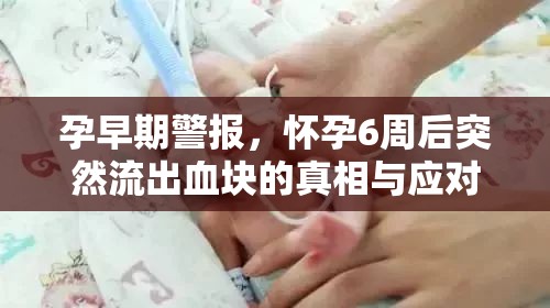 孕早期警報，懷孕6周后突然流出血塊的真相與應對策略