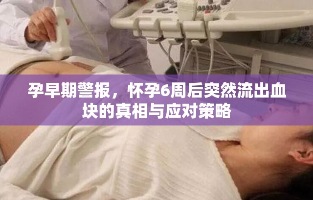 孕早期警報，懷孕6周后突然流出血塊的真相與應對策略