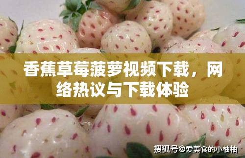 香蕉草莓菠蘿視頻下載，網(wǎng)絡(luò)熱議與下載體驗(yàn)