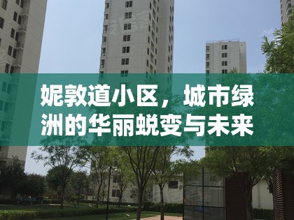 妮敦道小區(qū)，城市綠洲的華麗蛻變與未來(lái)展望