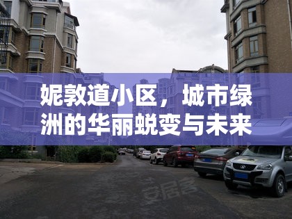 妮敦道小區(qū)，城市綠洲的華麗蛻變與未來(lái)展望