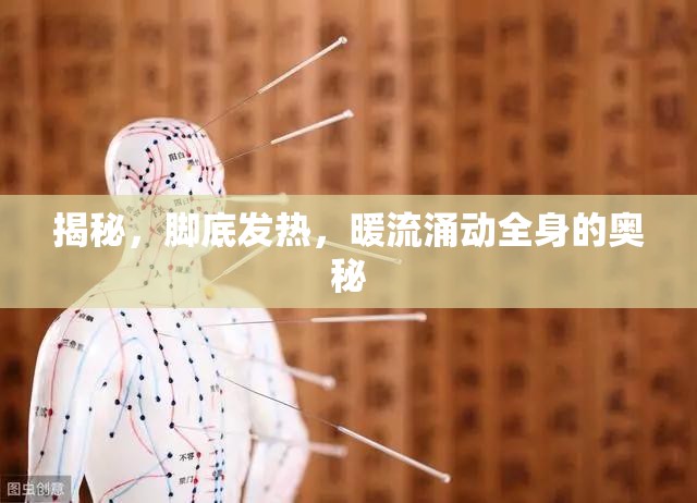 揭秘，腳底發(fā)熱，暖流涌動(dòng)全身的奧秘