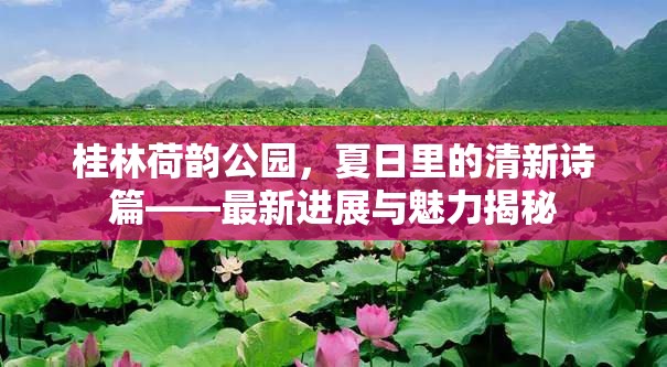 桂林荷韻公園，夏日里的清新詩(shī)篇——最新進(jìn)展與魅力揭秘