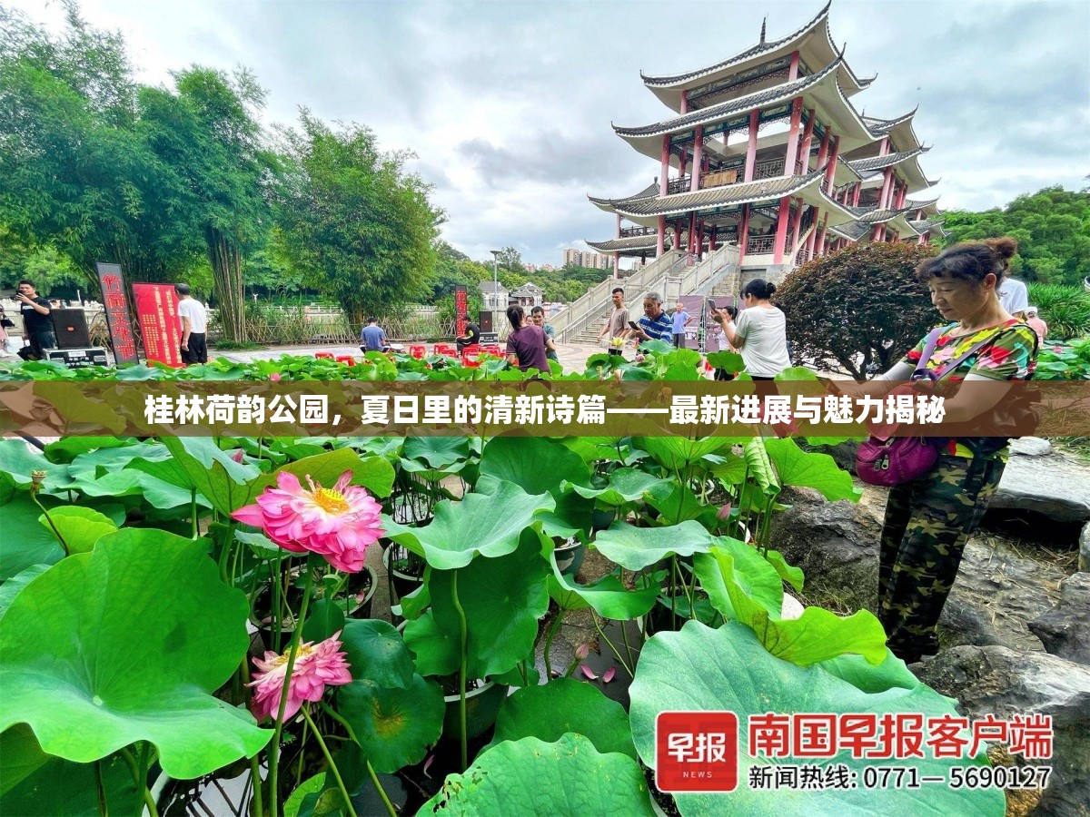 桂林荷韻公園，夏日里的清新詩(shī)篇——最新進(jìn)展與魅力揭秘