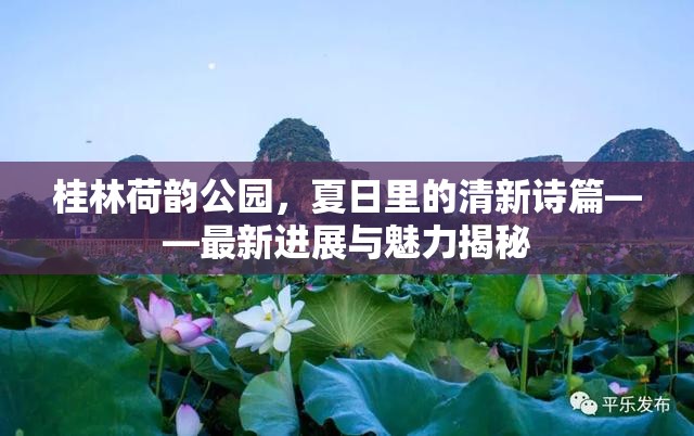 桂林荷韻公園，夏日里的清新詩(shī)篇——最新進(jìn)展與魅力揭秘
