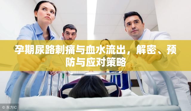 孕期尿路刺痛與血水流出，解密、預(yù)防與應(yīng)對策略