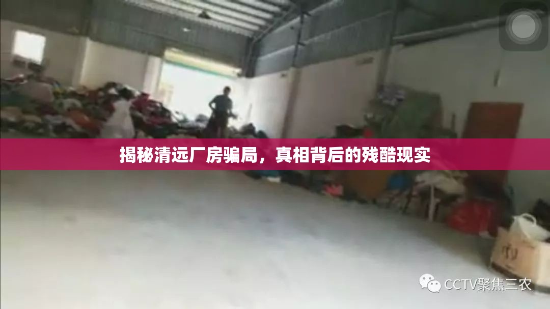 揭秘清遠(yuǎn)廠房騙局，真相背后的殘酷現(xiàn)實(shí)