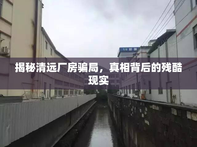 揭秘清遠(yuǎn)廠房騙局，真相背后的殘酷現(xiàn)實(shí)
