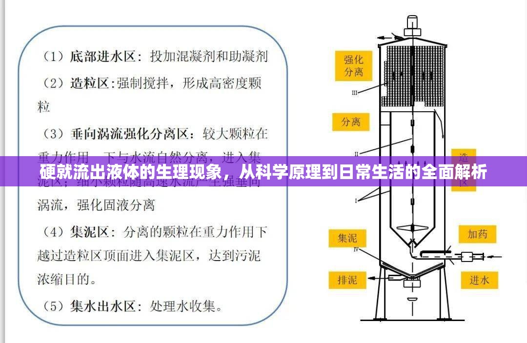 硬就流出液體的生理現(xiàn)象，從科學原理到日常生活的全面解析