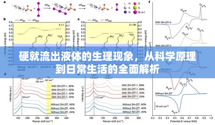 硬就流出液體的生理現(xiàn)象，從科學原理到日常生活的全面解析
