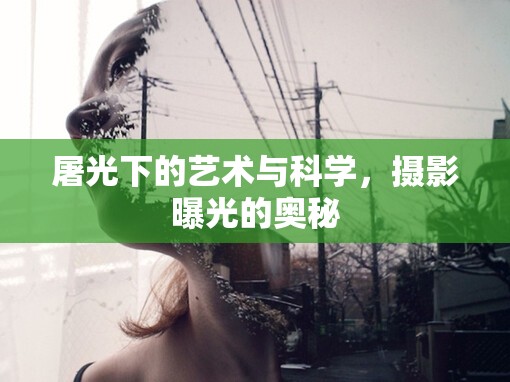 屠光下的藝術(shù)與科學(xué)，攝影曝光的奧秘