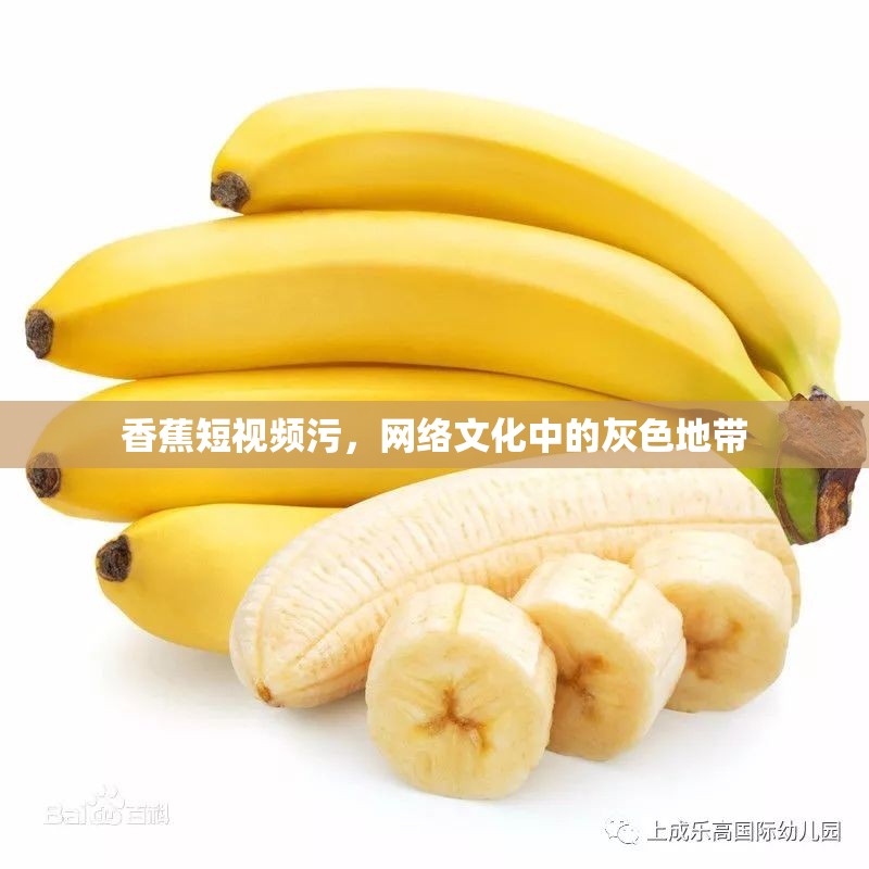 香蕉短視頻污，網(wǎng)絡文化中的灰色地帶