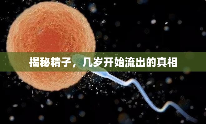 揭秘精子，幾歲開始流出的真相