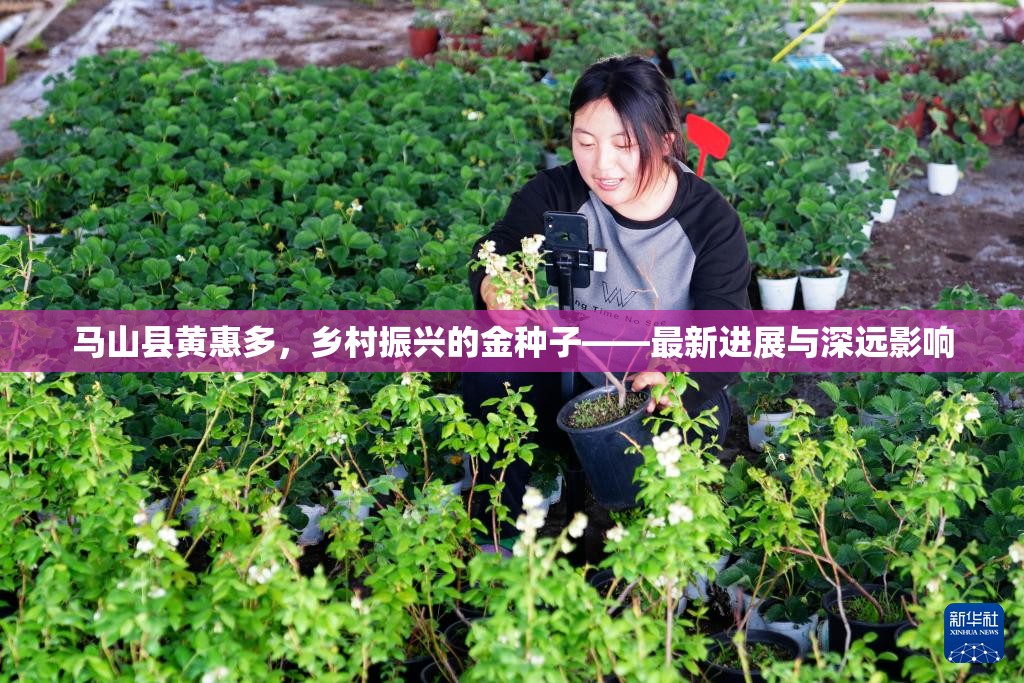 馬山縣黃惠多，鄉(xiāng)村振興的金種子——最新進(jìn)展與深遠(yuǎn)影響