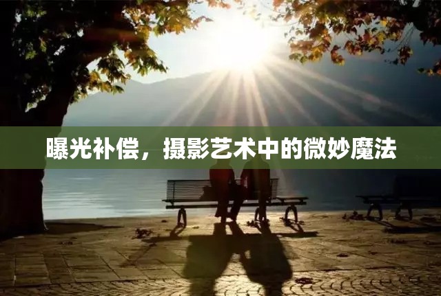 曝光補償，攝影藝術中的微妙魔法