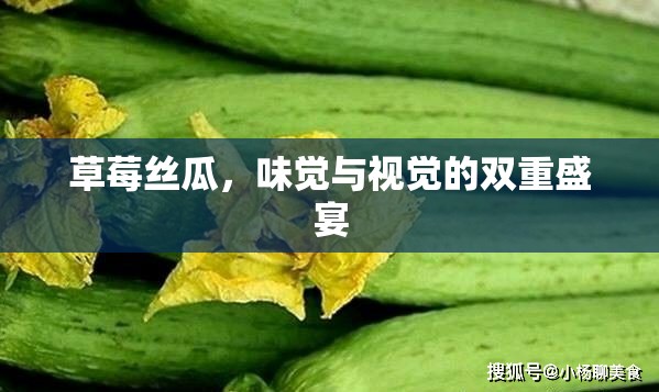 草莓絲瓜，味覺與視覺的雙重盛宴