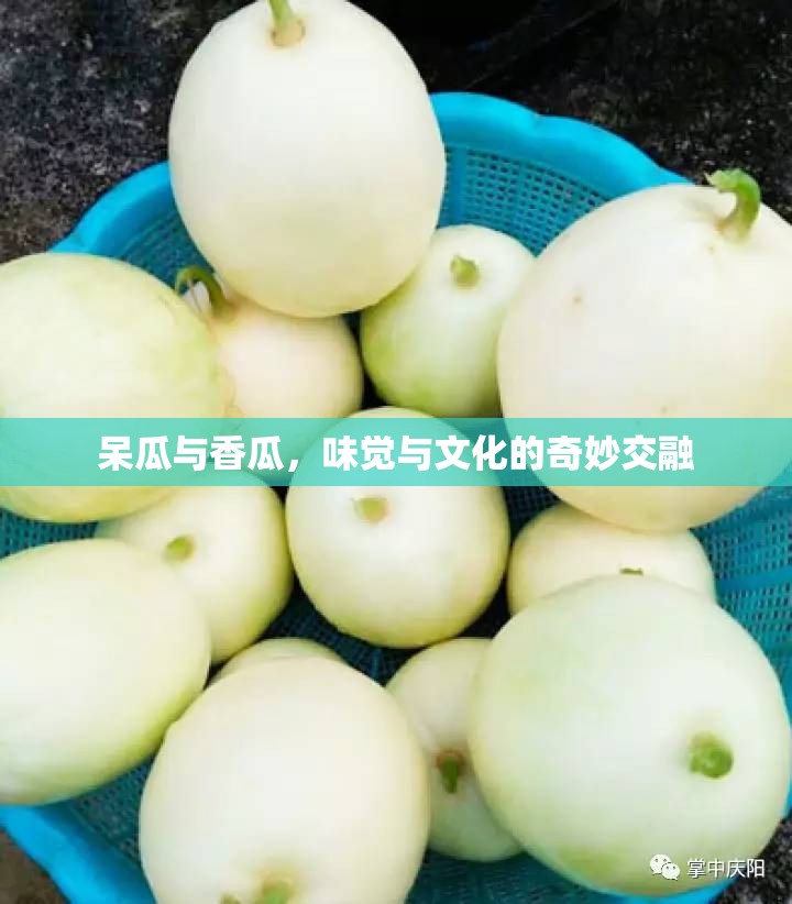 呆瓜與香瓜，味覺與文化的奇妙交融