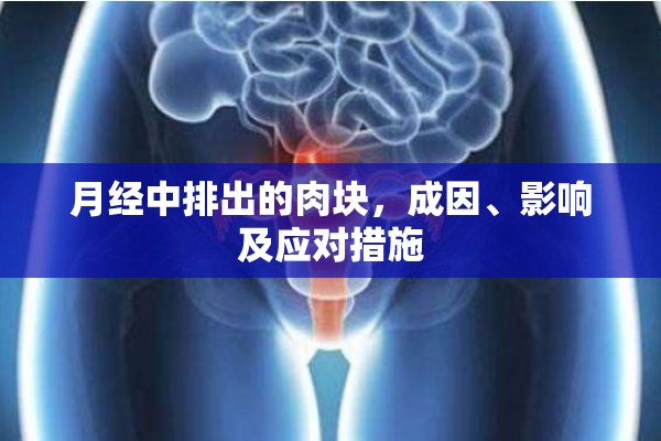 月經(jīng)中排出的肉塊，成因、影響及應(yīng)對(duì)措施