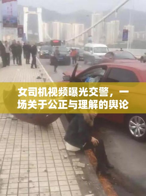 女司機(jī)視頻曝光交警，一場(chǎng)關(guān)于公正與理解的輿論風(fēng)波