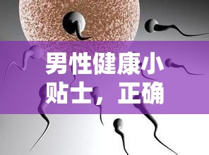 男性健康小貼士，正確處理精子流出后的清潔與護(hù)理