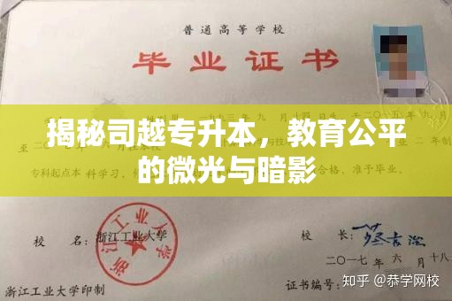 揭秘司越專升本，教育公平的微光與暗影