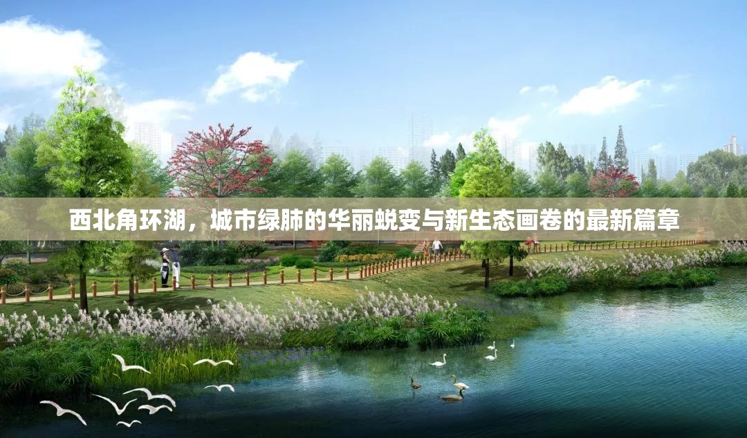 西北角環(huán)湖，城市綠肺的華麗蛻變與新生態(tài)畫卷的最新篇章