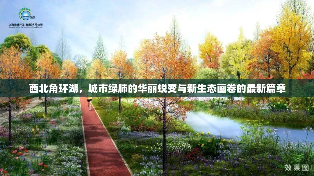 西北角環(huán)湖，城市綠肺的華麗蛻變與新生態(tài)畫卷的最新篇章