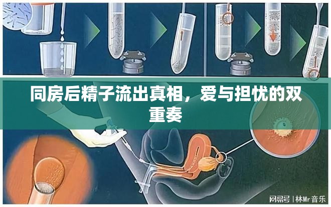 同房后精子流出真相，愛與擔(dān)憂的雙重奏