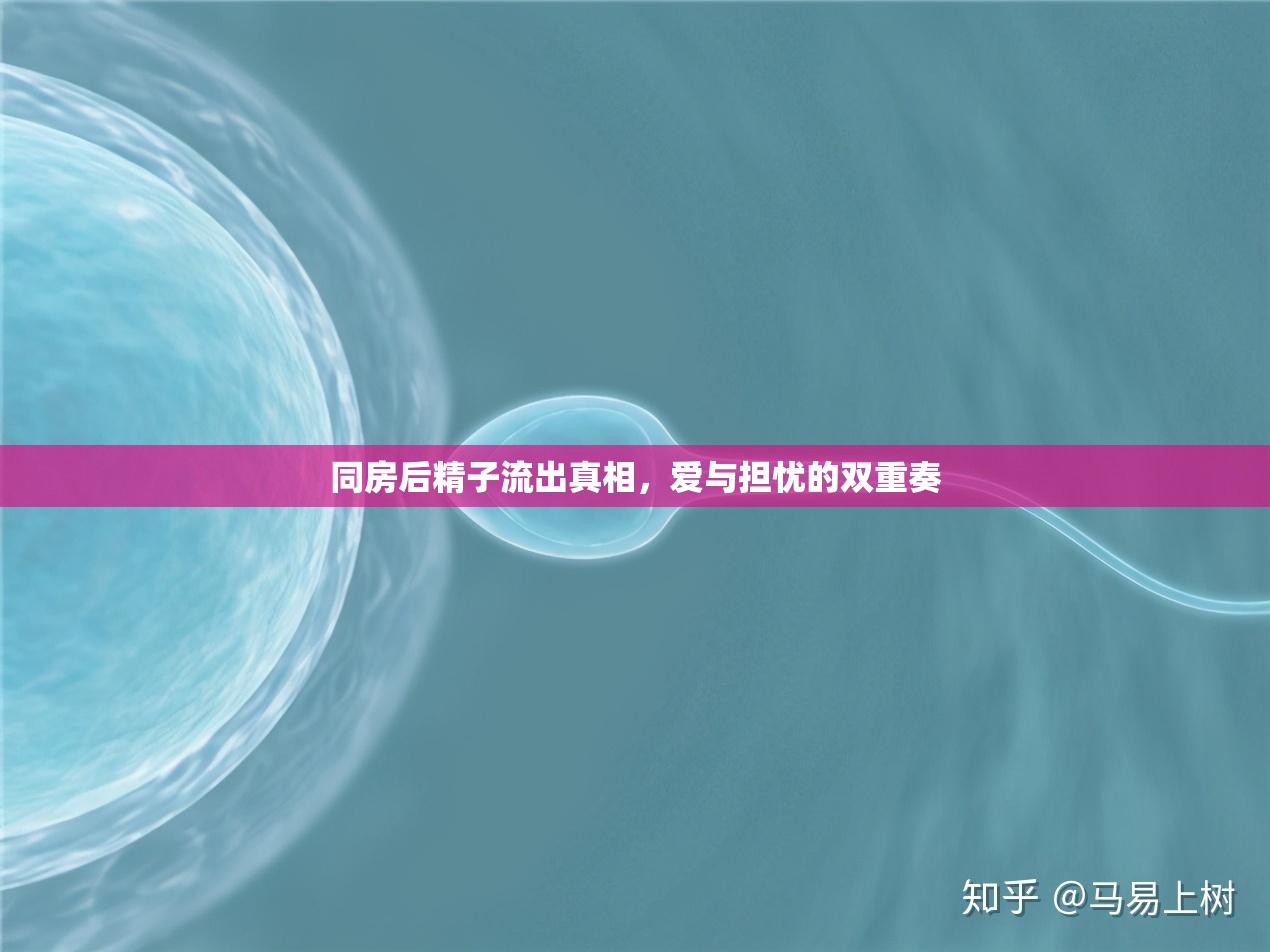 同房后精子流出真相，愛與擔(dān)憂的雙重奏