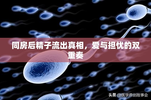 同房后精子流出真相，愛與擔(dān)憂的雙重奏