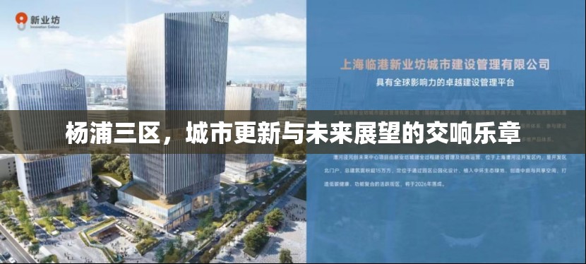 楊浦三區(qū)，城市更新與未來展望的交響樂章