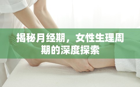 揭秘月經(jīng)期，女性生理周期的深度探索