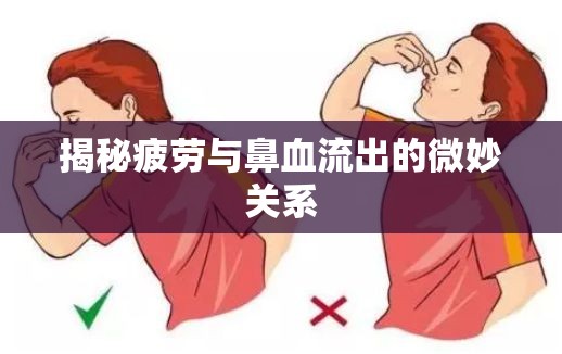 揭秘疲勞與鼻血流出的微妙關(guān)系