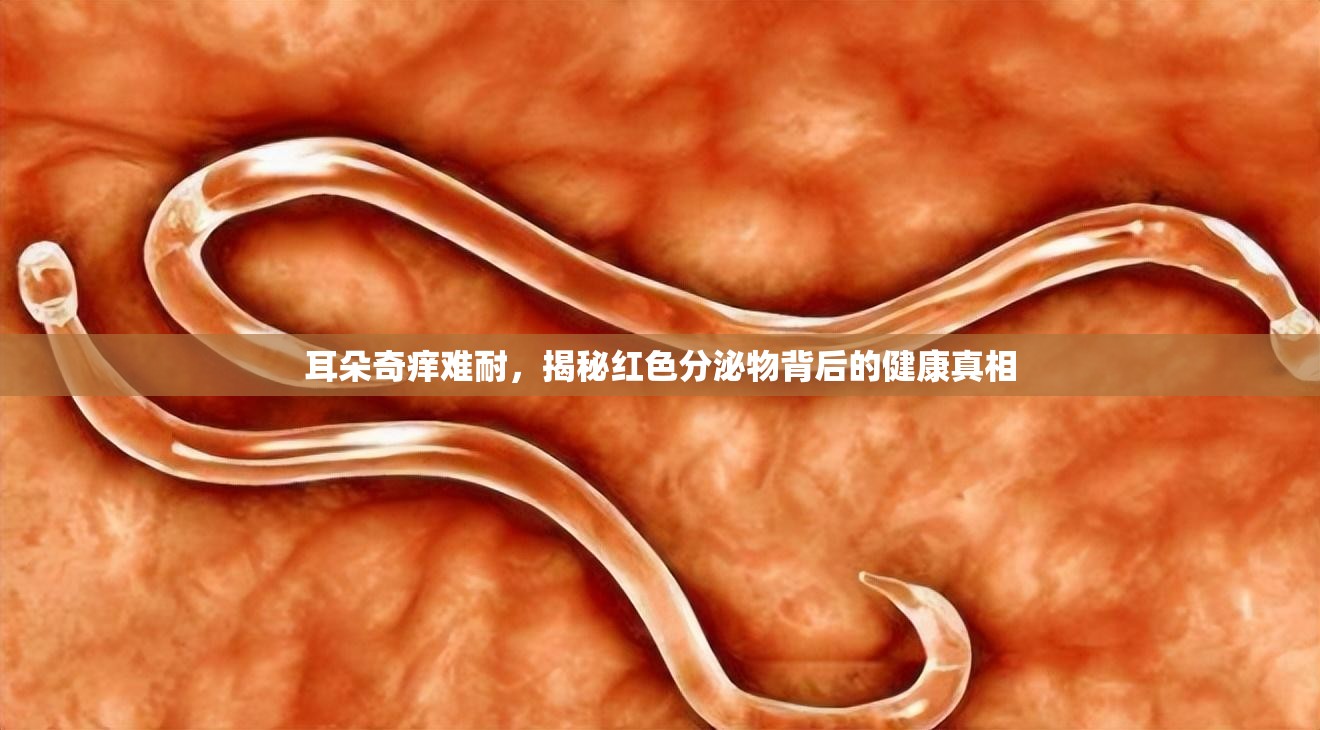 耳朵奇癢難耐，揭秘紅色分泌物背后的健康真相