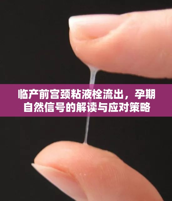 臨產(chǎn)前宮頸粘液栓流出，孕期自然信號(hào)的解讀與應(yīng)對(duì)策略