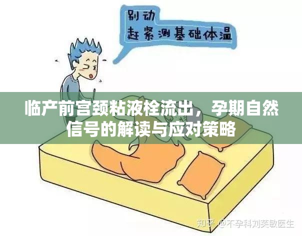 臨產(chǎn)前宮頸粘液栓流出，孕期自然信號(hào)的解讀與應(yīng)對(duì)策略