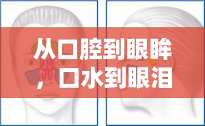 從口腔到眼眸，口水到眼淚的情感共鳴之旅