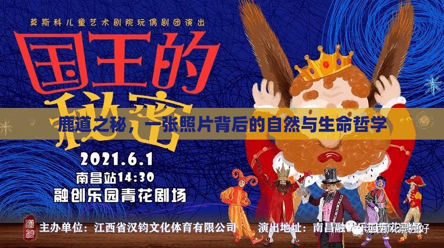 鹿道之秘，一張照片背后的自然與生命哲學(xué)