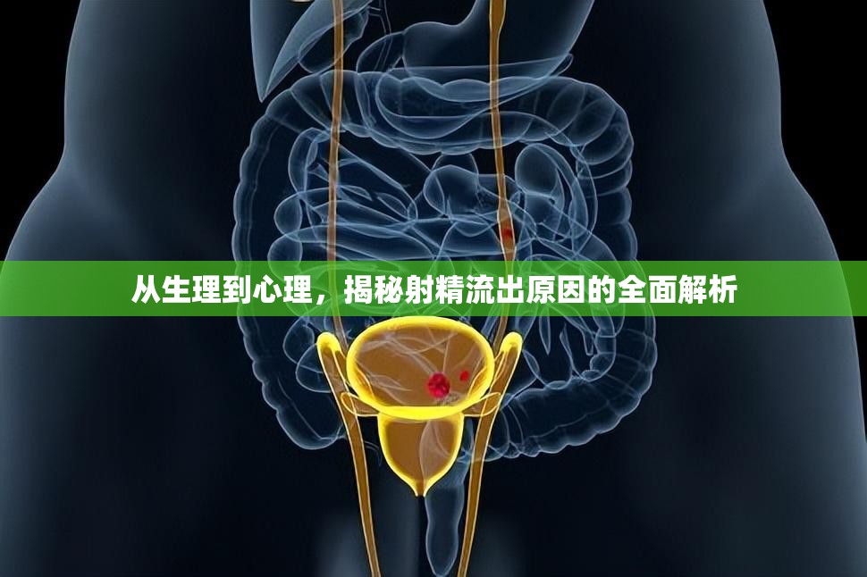 從生理到心理，揭秘射精流出原因的全面解析
