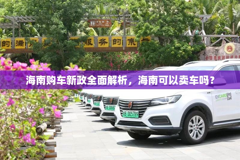 海南購車新政全面解析，海南可以賣車嗎？