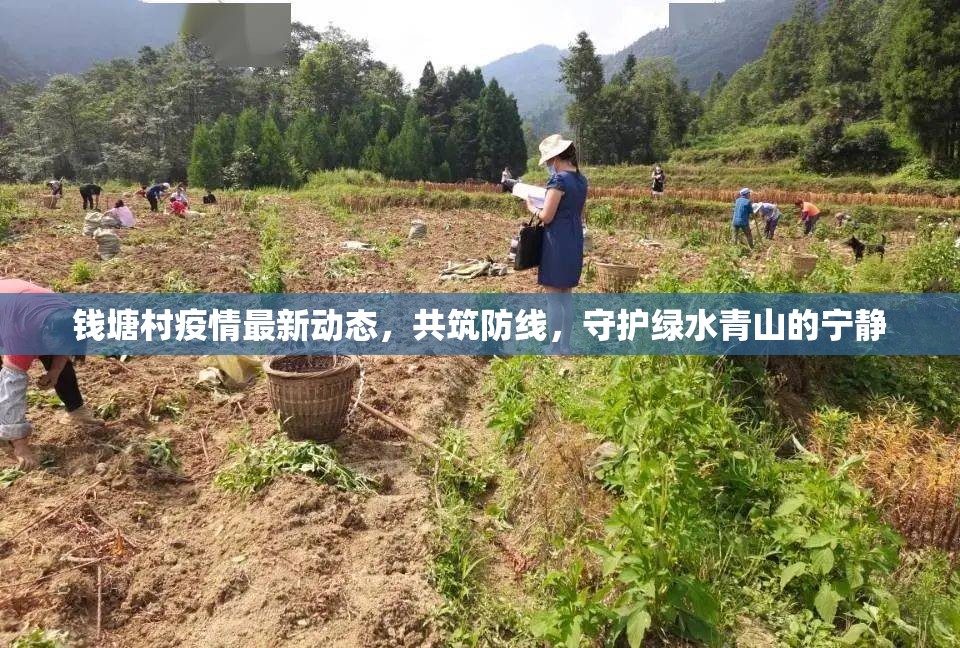 錢(qián)塘村疫情最新動(dòng)態(tài)，共筑防線，守護(hù)綠水青山的寧?kù)o