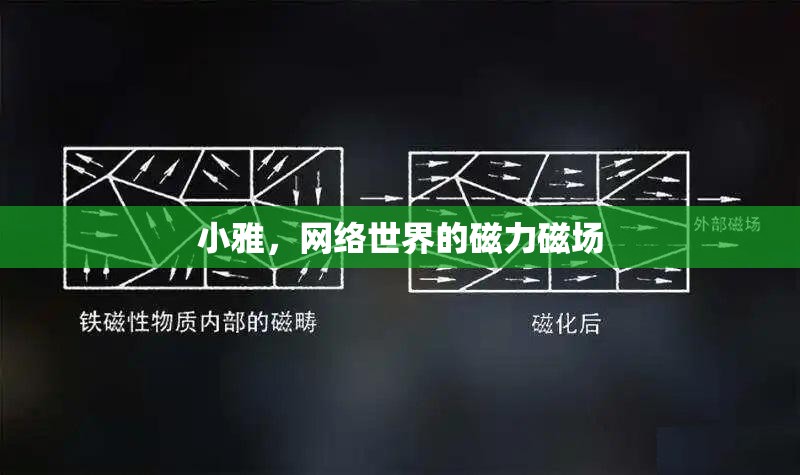 小雅，網(wǎng)絡(luò)世界的磁力磁場(chǎng)