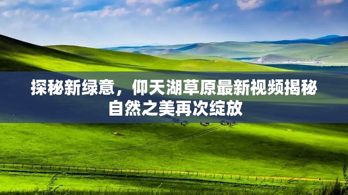 探秘新綠意，仰天湖草原最新視頻揭秘自然之美再次綻放