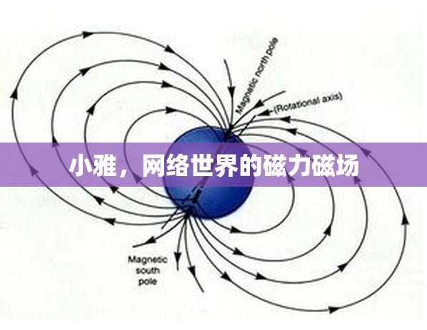 小雅，網(wǎng)絡(luò)世界的磁力磁場(chǎng)