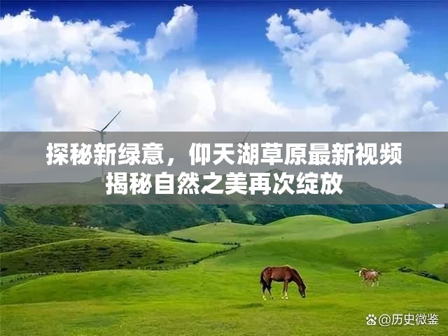探秘新綠意，仰天湖草原最新視頻揭秘自然之美再次綻放