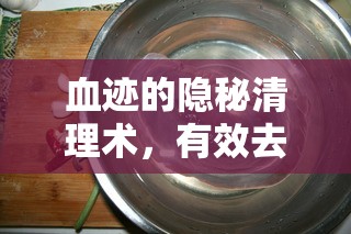 血跡的隱秘清理術(shù)，有效去除血味與痕跡的技巧