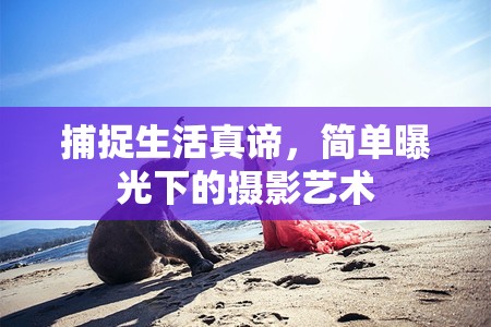 捕捉生活真諦，簡單曝光下的攝影藝術(shù)